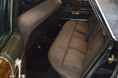 Ford Galaxie Landau 1980 (17).JPG